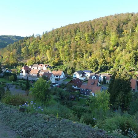 Ferienwohnung Gerken Wieda Экстерьер фото